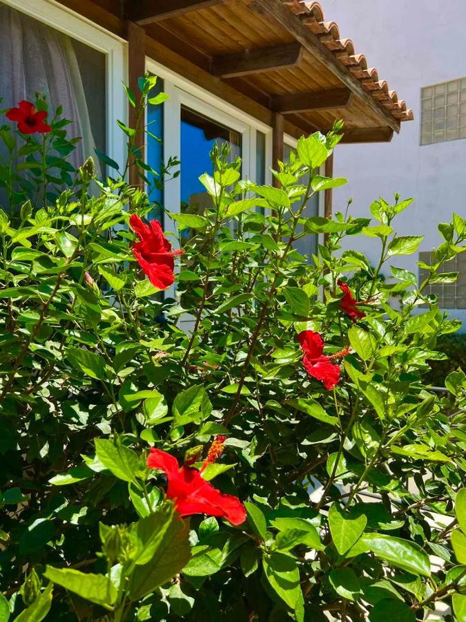 Cherrywood Creta Apartment Ierápetra Екстериор снимка